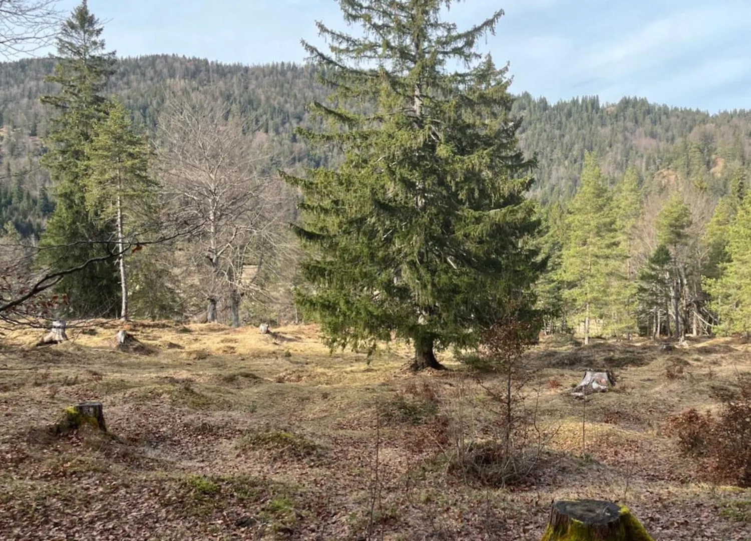 Διαμέρισμα Fewo Lautersee Mittenwald