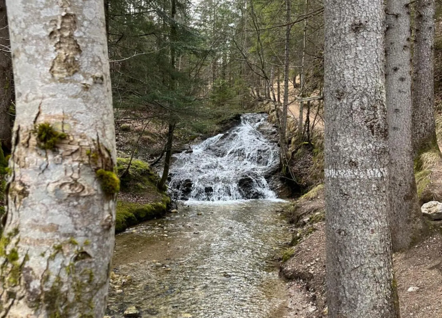 Fewo Lautersee Mittenwald Διαμέρισμα